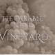 Sermon on the parable of the vineyard