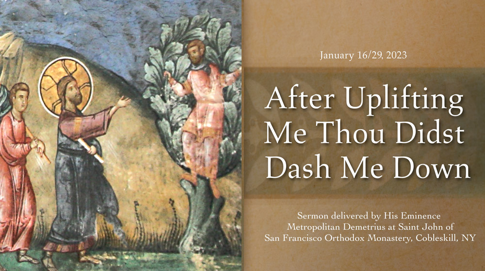 Sermon by Metropolitan Demetrius, January 29, 2022